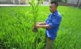 Góp phần xây dựng đời sống văn hóa, phát triển kinh tế