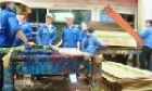 Giải quyết lao động nông thôn, góp phần xây dựng nông thôn mới