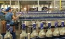 Thành công bước đầu của Công ty CP Cồn rượu Hà Nội 