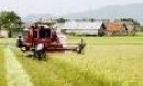 Giữ gìn bản sắc văn hoá dân tộc trong quy hoạch xây dựng nông thôn mới 
