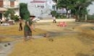 Phát triển Đảng ở Chi bộ nông thôn - Thực tiễn từ Lương Tài