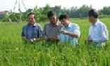 Xã điểm xây dựng nông thôn mới đông thọ đã hoàn thành 15/19 tiêu chí