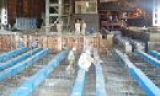Công ty cổ phần luyện cán thép Sóc  Sơn: Năm 2011 sản xuất gần 160.000 tấn phôi thép 
