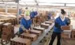 Công ty Bắc Hưng tăng năng lực cạnh tranh bằng giải pháp đồng bộ