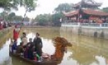 Về với... Hội Lim