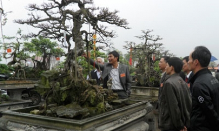 Bế mạc triển lãm SVC tỉnh lần thứ 15, năm 2012