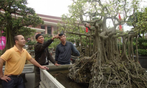 Tiên Du tổng kết công tác Hội Sinh vật cảnh  năm 2011