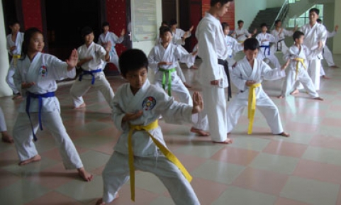 Võ Karate thu hút thanh thiếu nhi ngày hè
