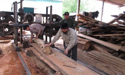 Quỹ tín dụng nhân dân cơ sở góp phần xây dựng nông thôn mới