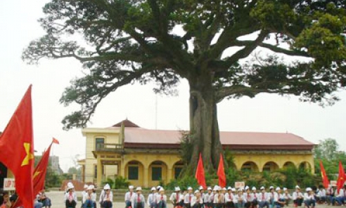 Cây di sản ở trường làng