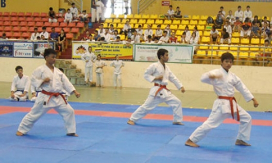 Khai mạc giải vô địch võ thuật Karatedo – Cổ truyền tỉnh năm 2012