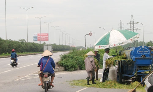 Cần chấm dứt phơi thóc, đốt rơm trên Quốc lộ 1A