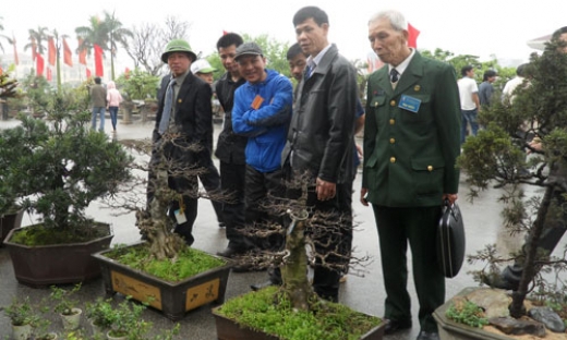 Sẽ có gần 1000 tác phẩm tham gia triển lãm SVC tỉnh năm 2013