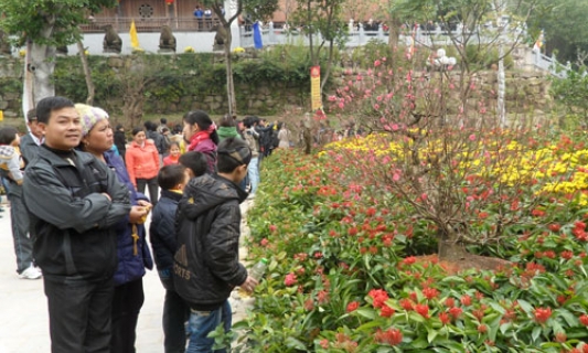 Lễ hội Khán hoa mẫu đơn 2013: Đề cao nghệ thuật dân gian truyền thống