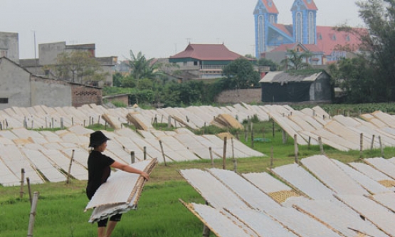 Tử Nê xây dựng quy ước, hương ước 