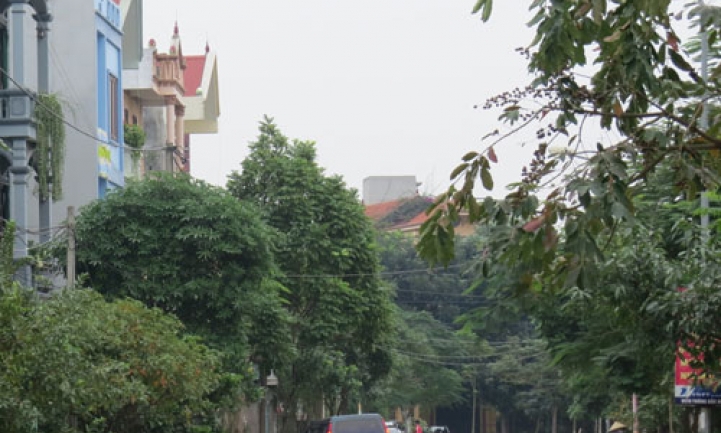 Khu phố văn hóa Thị Chung 