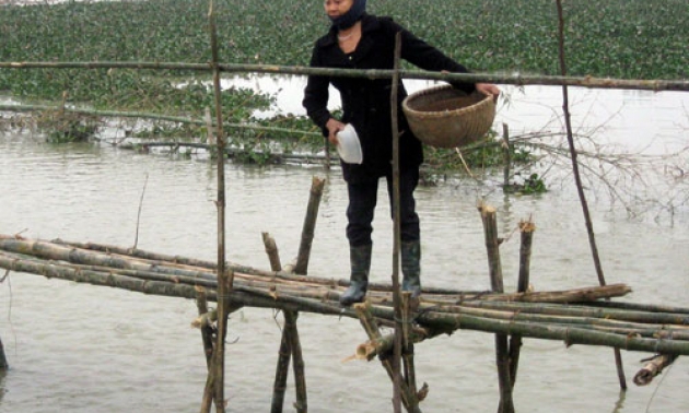 Xây dựng nông thôn mới –cách làm của Bình Dương