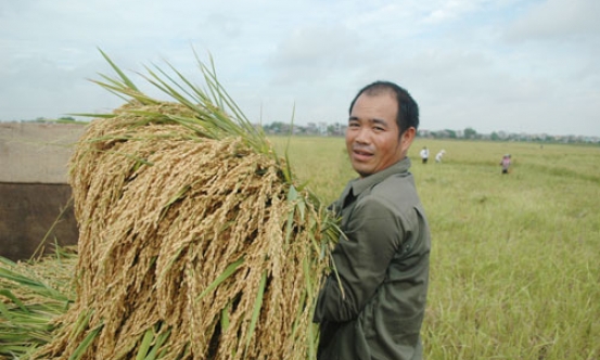Dồn điền đổi thửa tạo đà xây dựng nông thôn mới ở Nghĩa Đạo