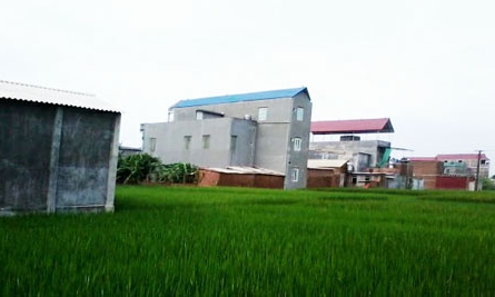 Xây dựng trái phép trên đất nông nghiệp ở Ô Cách - Thiếu trách nhiệm hay yếu năng lực?