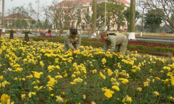 Bảo đảm vệ sinh môi trường dịp Tết Nguyên Đán