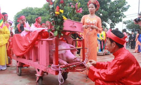 Qua miền lễ hội