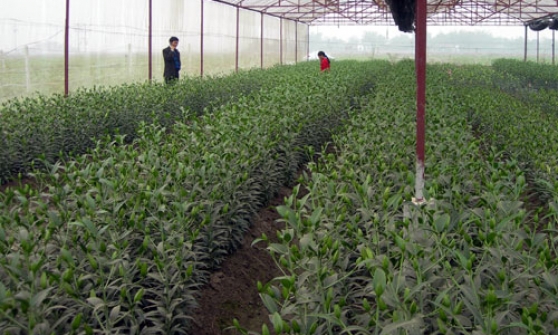 100% số xã của huyện Tiên Du đạt 8/19 tiêu chí xây nông thôn mới