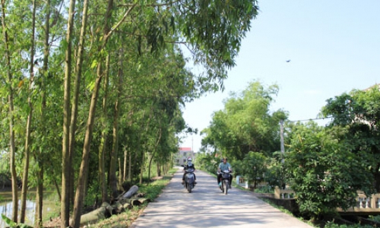 Rộng dài muôn ngả