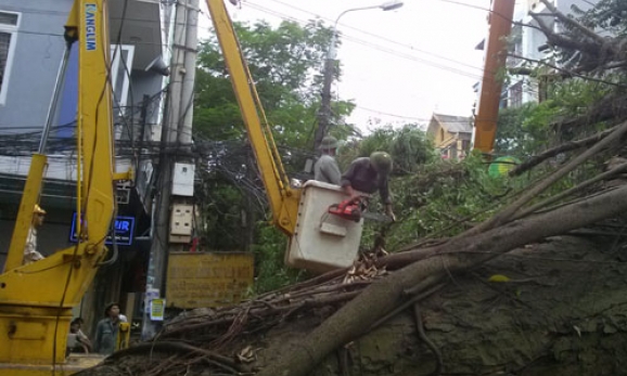 Cây cổ thụ ngã đổ gây tắc đường