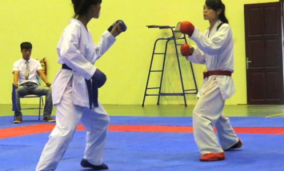 Giải Võ thuật Cổ truyền và Karatedo tỉnh Bắc Ninh năm 2014