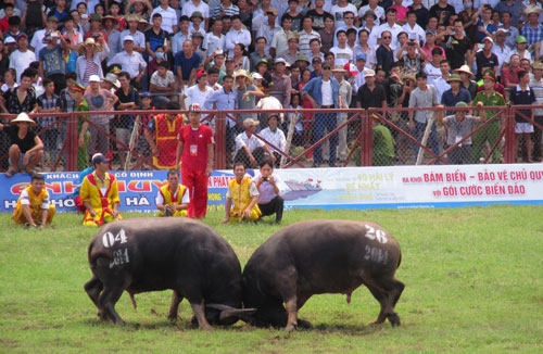 4. Những tranh cãi và hướng phát triển