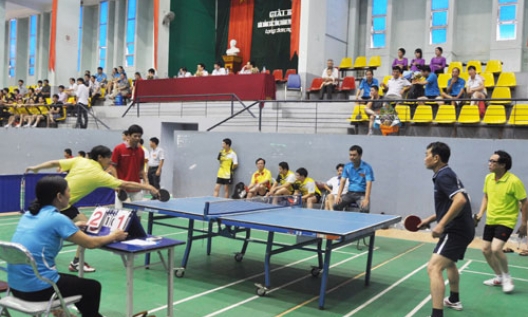 Giải Bóng bàn Báo Đảng các tỉnh thành phố phía Bắc, năm 2014 