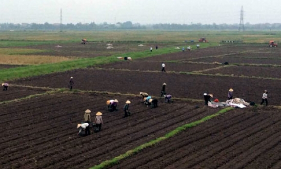 Mượn đất lập nghiệp- Cách làm mới ở Bắc Ninh