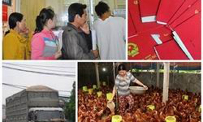 Chính sách mới có hiệu lực từ tháng 1/2015