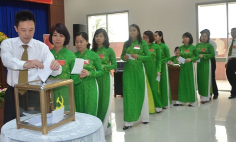 Toàn tỉnh: Gần 60% tổ chức cơ sở Đảng Đại hội nhiệm kỳ 2015-2020