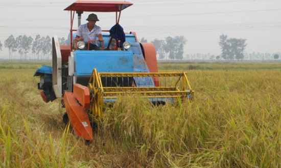Bốn nhiệm vụ trọng tâm ở Đảng bộ Sở Nông nghiệp & PTNT