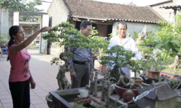Nghề sinh vật cảnh tô điểm bức tranh nông thôn