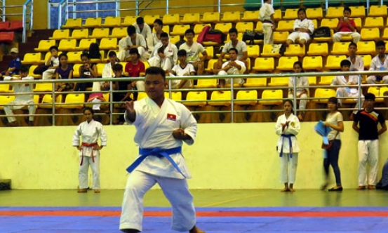 Giải Võ thuật Cổ truyền và Karate- do tỉnh Bắc Ninh 2015