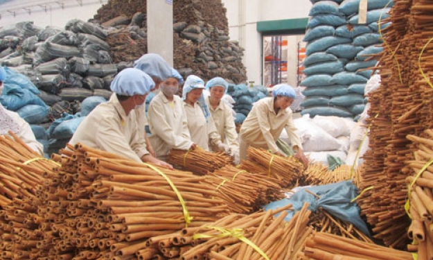 Ngành Ngân hàng tỉnh: Dư nợ  cho vay doanh nghiệp chiếm 58%