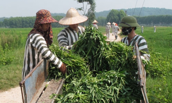Niềm vui chờ ngày đoàn tụ