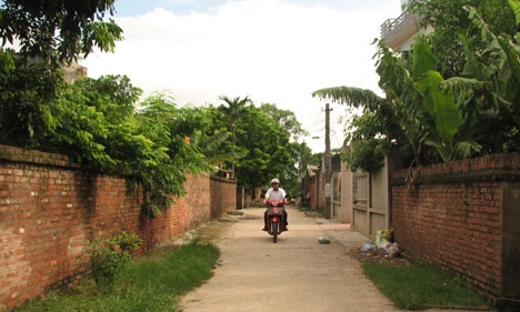 Mộ Đạo chuyển mình