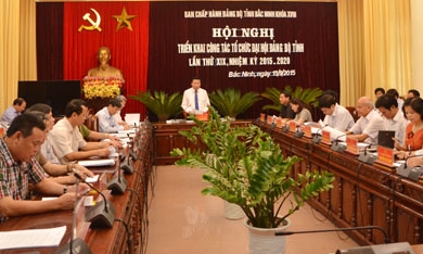 Chuẩn bị tốt công tác tổ chức Đại hội đại biểu Đảng bộ tỉnh lần thứ XIX, nhiệm kỳ 2015-2020