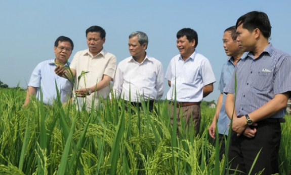 Bí thư Tỉnh ủy Nguyễn Nhân Chiến làm việc tại huyện Thuận Thành