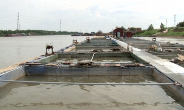 Diện mạo nông thôn mới ở Trung Kênh