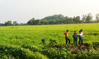 Cánh đồng mùa đông