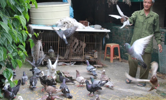 Kết nối dòng chảy tín dụng ưu đãi