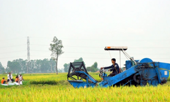 Nông dân hội nhập  