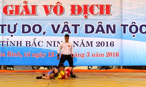 Giải vô địch Vật tự do, Vật dân tộc tỉnh Bắc Ninh năm 2016