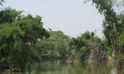 Thương nhớ lũy tre làng