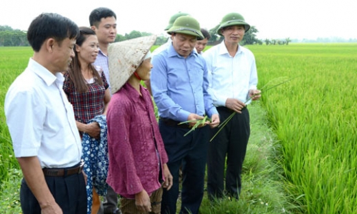 Bí thư Tỉnh ủy Nguyễn Nhân Chiến kiểm tra sản xuất vụ xuân và tiến độ các công trình phòng, chống thiên tai