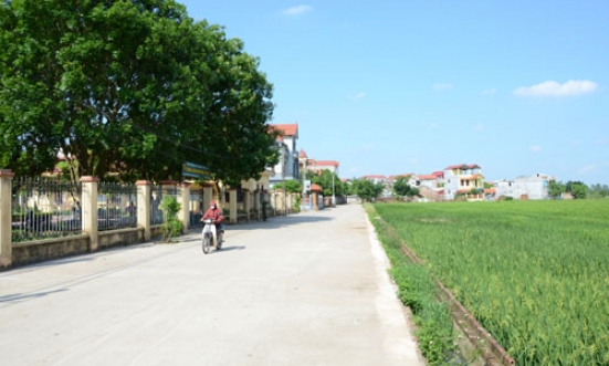 Đình Tổ hướng đích Nông thôn mới